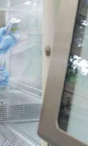 Indicadores biológicos Indicadores biológicos